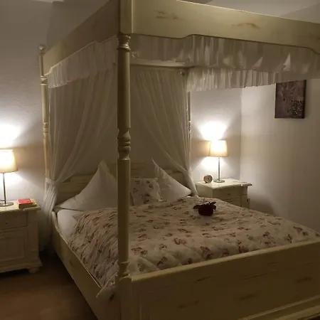 酒店 阿尔特安纳贝格伽尼酒店 3*