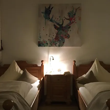 酒店 阿尔特安纳贝格伽尼酒店 3*