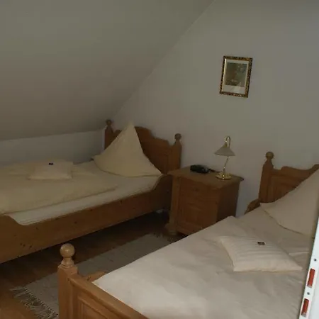 酒店 阿尔特安纳贝格伽尼酒店 3*