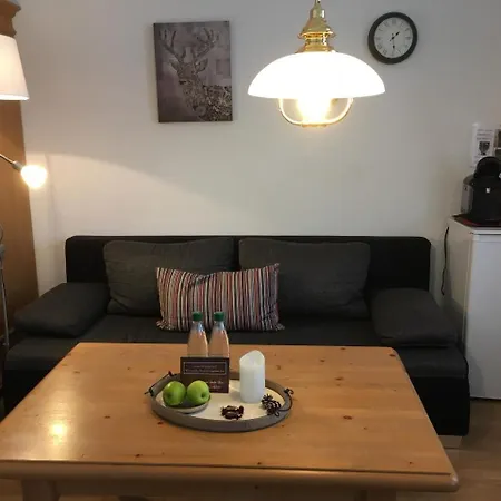 酒店 阿尔特安纳贝格伽尼酒店 3*